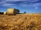 Low level view of harvest field with rows of round bales