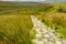 Low level view of newly laid stepping stones seen leading to a hillside in the Yorkshire Dales.