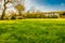 Low level view of a well marinated large garden, taking in HDR format.