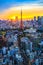 Low light scenery of sunset at Tokyo Tower, Japan