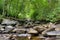 Low, mid-summer woodland creek along rock boulders and under arching green trees.