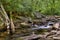 Low, mid-summer woodland creek and waterfall along rock boulders and past rotting fallen trees.