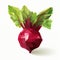 Low Poly Beet Vegetable Illustration On White Background