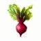 Low Poly Beetroot: Graphic Design-inspired Illustration On White Background
