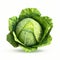 Low Poly Cabbage: Innovative 3d Puzzle With Creative Commons Attribution