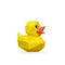 low poly duck image, low poly for 3d logos and icons.