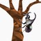 Low poly Dynastinae or rhinoceros beetles on tree and falling leaf with white background,Abstract insect,geometric style,bug carto