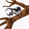 Low poly Dynastinae or rhinoceros beetles on tree and falling leaf with white background,Abstract insect,geometric style,bug carto