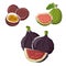 Low poly figs, guava and maracuja fruits