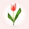 Low poly flower tulip. Mother`s day card. Logo vector design