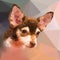 Low poly geometric portrait of chihuahu dog