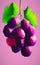 Low poly grapes - stylized digital art