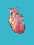 Low poly human heart illustration on blue BG