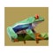 Low poly illustration of frog