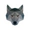 Low poly illustration. Wolf