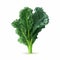 Low Poly Kale: Bold Graphic Illustration Of Green Leafy Vegetable