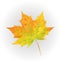 Low poly leaves, Art of autumn, Low poly fall, the passage of time, vectorgraphics