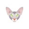 Low poly Oriental Shorthair cat head