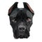 Low Poly. Portrait Cane Corso