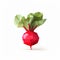 Low Poly Red Beet On White Background