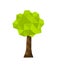 Low poly tree icon