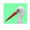 Low poly wild vector stork