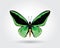 Low polygon butterfly green wings black stripe isolated on white background, fresh verdant insects flying. Logo icon geometric.