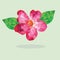 Low polygon pink flower with leaf