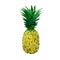 Low polygon yellow pineapple