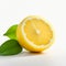 Low Resolution Lemon Slice With Leaf - Industrial Design Inspired