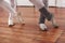 Low Section Of Ballerinas Performing On Floor