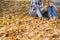 Low section of couple with camera sitting on autumn leaves in park