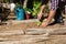 Low section of man planting sapling in garden