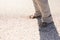 Low section of senior biracial woman standing barefoot on sand at beach during sunny day