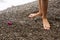 Low section view of a person standing on the beach