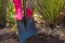 Low section of woman digging soil with shovel in garden