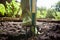 Low section of woman standing with gardening fork on dirt