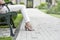 Low section of young woman sitting on park bench