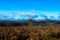 Low shot of therns with distant view of Sugar loaf from skirrid fawr South wales uk.