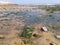 With low tide, algae appears on the beach above the rocks