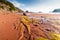 Low Tide in the Bay of Fundy reveals ocean floor.