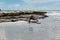 Low tide beach bouy line for swimming area