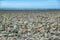 Low tide beach, cabo san pablo, tierra del fuego, argentina