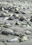 Low tide beach, cabo san pablo, tierra del fuego, argentina