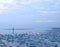 Low Tide at Beach - Infinity at Horizon and Cloudy Sky at Dawn - Peace, Stillness, and Tranquility