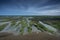 Low Tide coastal landscape