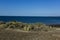 Low Tide coastal landscape in Peninsula Valdes, World Heritage Site,