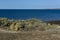 Low Tide coastal landscape in Peninsula Valdes, World Heritage Site,