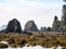 Low Tide Coastline, Pacific Northwest Coast, Olympic National Park