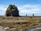 Low Tide Coastline, Pacific Northwest Coast, Olympic National Park